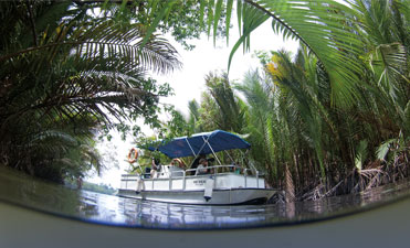 Marang Eco River Cruise