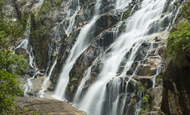 Jungle Trekking to Chemerung Waterfall