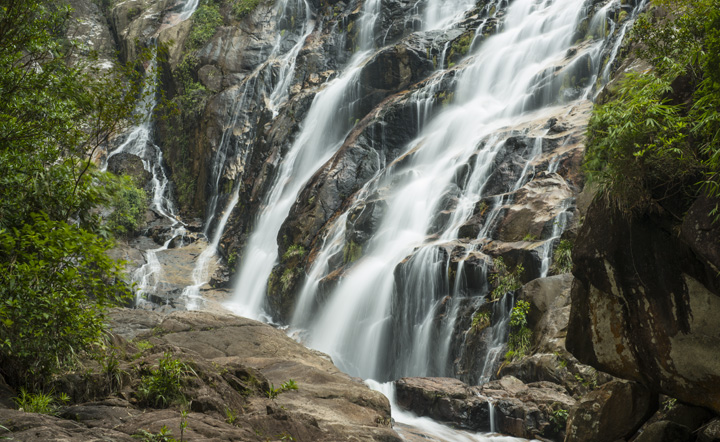 Jungle Trekking to Chemerung Waterfall