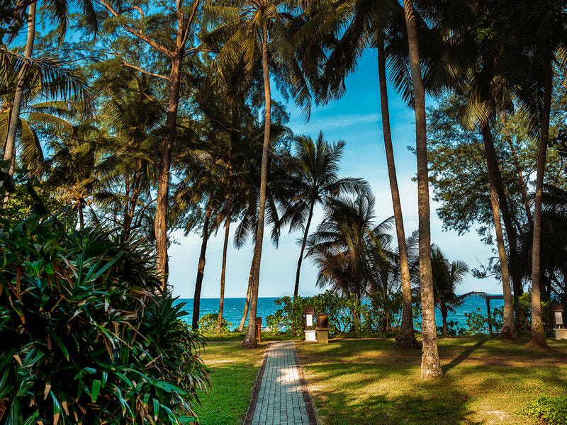 Special Offer _sucimurni